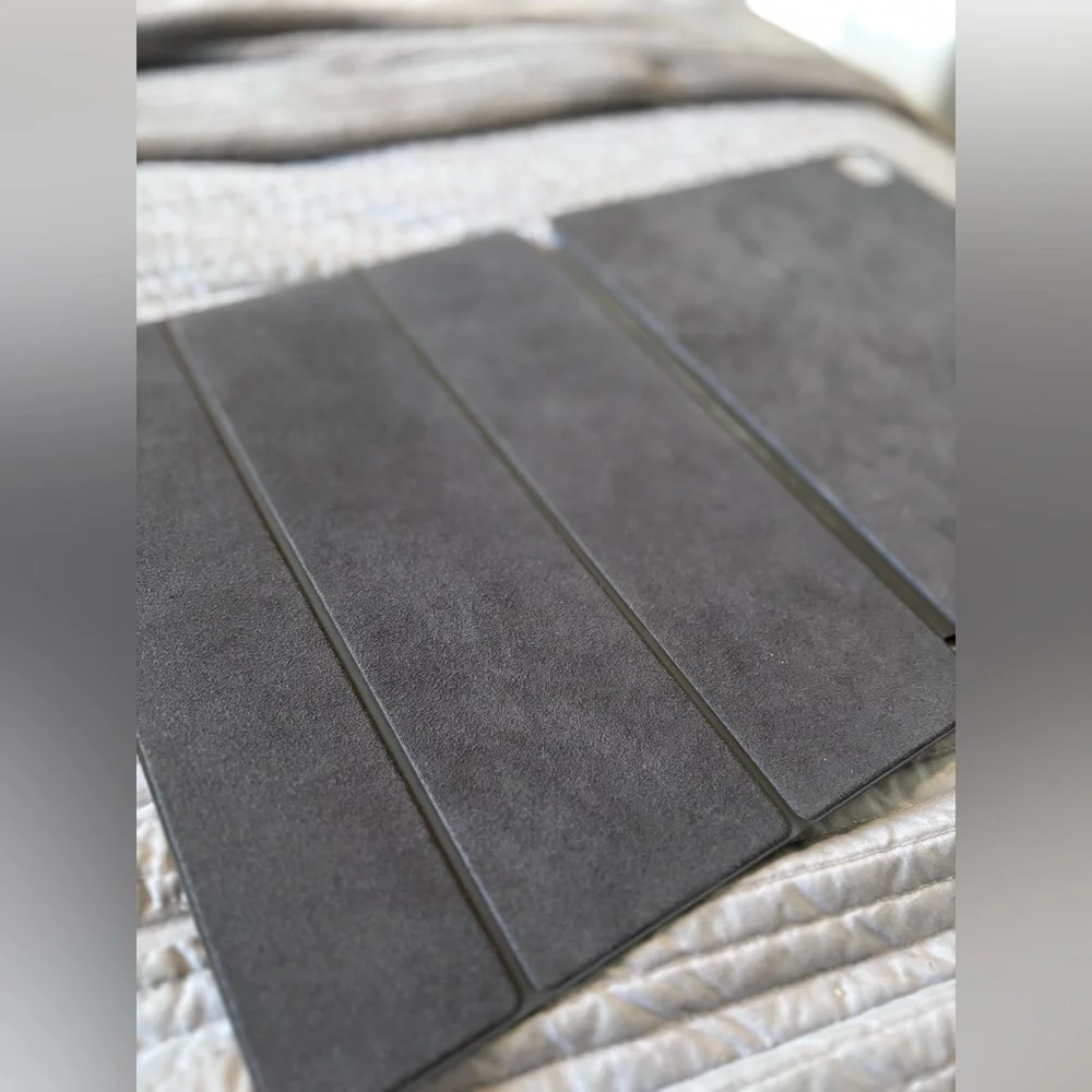 Apple iPad case